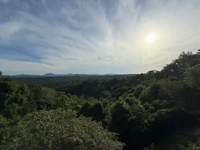 Contemporary 4-Bedroom Santiago Villa with Private Infinity Pool & Lush Jungle Views