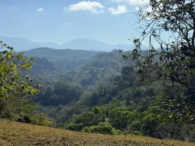 Santuario de Montagne Éco-Luxe : 11,48 Hectares de Paradis Immaculé : Forêt Luxuriante, Rivière et Potentiel Agricole à Arenal Puriscal, San José 1