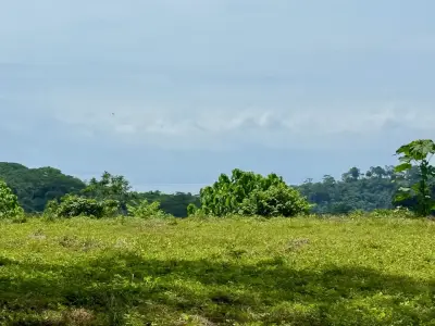 Propriété avec vue sur l'océan et la montagne près de Santa Teresa, avec une plateforme de construction impressionnante entourée par la jungle 2