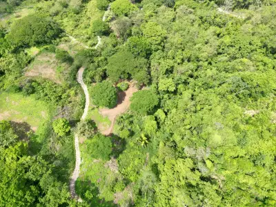 Enchanting 9,800 m² Land Surrounded by Jungle and Nature. A Peaceful Retreat Near Santa Teresa, Mal País, and Cabuya 3
