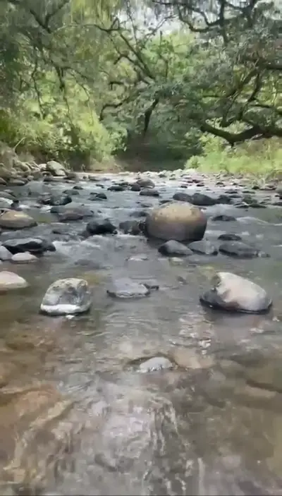Terrain agricole à San Ramón avec 5 piscines naturelles et accès à la rivière 4