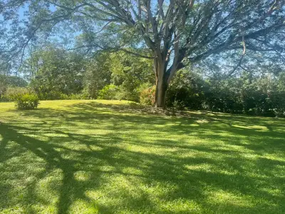 Un paradis caché à Orotina : 4 919 m² pour créer la vie dont vous rêvez 5