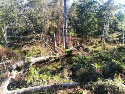 Terrain Serein avec Vue sur la Jungle à Santa Teresa 5