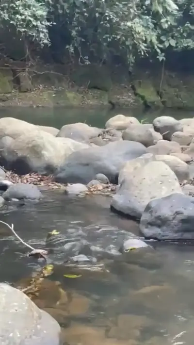 Terrain agricole à San Ramón avec 5 piscines naturelles et accès à la rivière 2