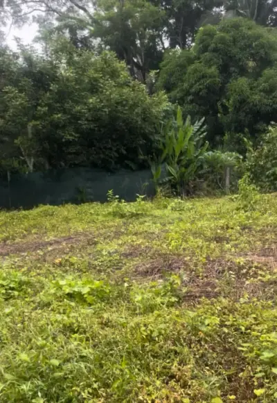 345 M² Lot For Sale In Manzanillo – Near Santa Teresa & Playa Hermosa And Minutes To The Beach 