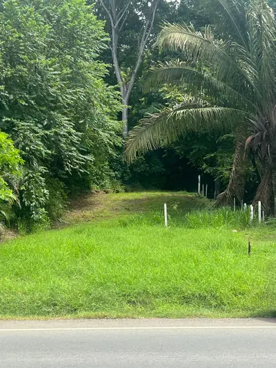 Exclusive Lot Facing Playa Hermosa: Investment and Tropical Lifestyle 3