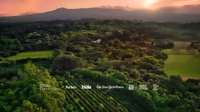 Le Domaine de café biologique de luxe et hôtel-boutique de premier plan du Costa Rica 1