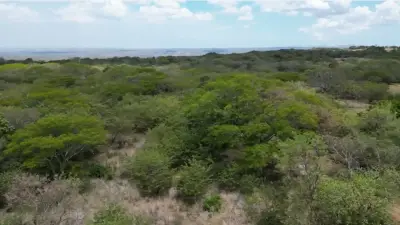 Terrain Exclusif de 6,5 Hectares à Quebrada Grande de Liberia, Guanacaste 2