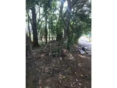 Terrain à bâtir, San Ana Salitral St 5