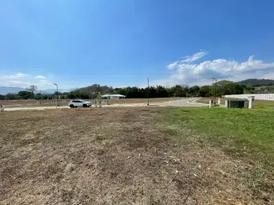 Terrain à vendre à Grecia, stratégiquement situé à 3 minutes de la Route 1 et 5 minutes de la zone franche 4
