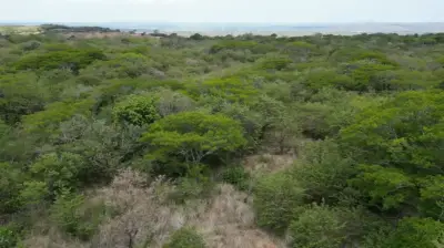 Terrain Exclusif de 6,5 Hectares à Quebrada Grande de Liberia, Guanacaste 3