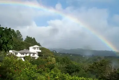 Le Domaine de café biologique de luxe et hôtel-boutique de premier plan du Costa Rica 2