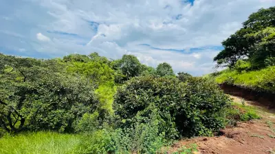 Terreno En Venta En Atenas, Puntarenas 4