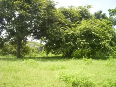 Terrain de 2 027 m² avec vue sur l'océan à Guacalillo 4