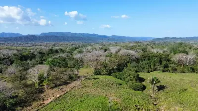 Exceptional 32-Hectare Finca for Sale Near Santa Teresa, Costa Rica – $12.50/m²