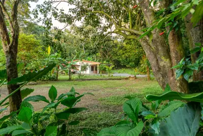 Family Estate in Mal País | Walk to the Beach, Ocean Views & Tropical Gardens 4