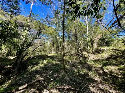 Investissez dans la nature : terrains privés de 5 000 m² en jungle à Mal País, à quelques minutes de la plage 2