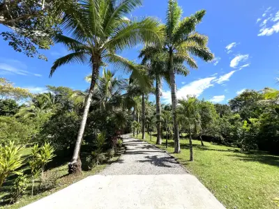 Domaine privé exclusif Villa Palma Royal avec luxe moderne et charme naturel, écuries à Las Delicias, Santa Teresa 4