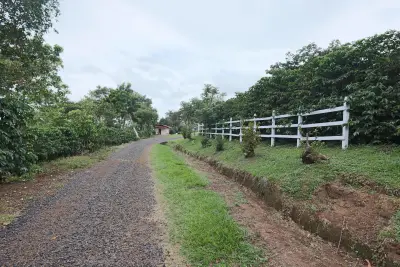 For Sale: Premium Coffee farm with processing mill, with great tourism potential 2
