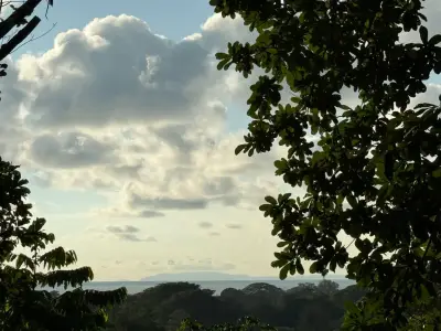 🌊 Luxe Tropical et Investissement : Terrain avec Vues Océan & Jungle et Permis Approuvés 3