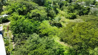 Terrain serein de 5000 m² - Nature luxuriante et potentiel de développement - À 10 minutes de Santa Teresa 2