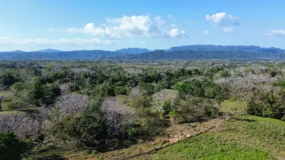 Exceptional 32-Hectare Finca for Sale Near Santa Teresa, Costa Rica – $12.50/m² 5