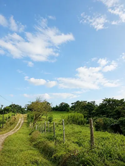 Vaste finca agricole à Parcelas de Zapotal, San Ramón, Alajuela 5