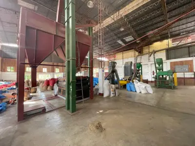 Coffee Farm, Processing Plant, and Luxury Home for Sale in Atenas 2