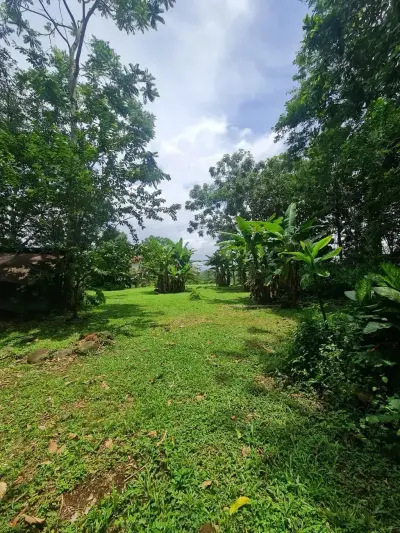 Ferme à vendre à San Ramon 4
