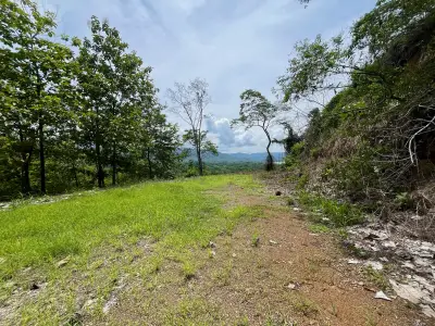 Magnifique terrain de 5 501 m² avec vue sur l'océan à Tambor 2