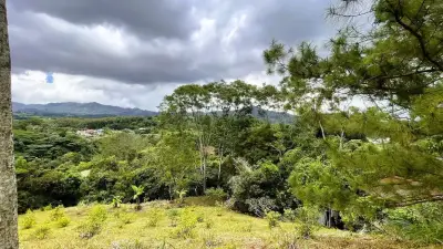 Terrain Commercial À Vendre À San Miguel, Naranjo 3