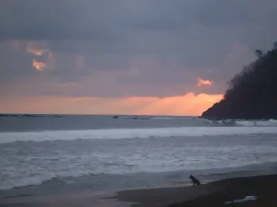 Votre coin de paradis dans le Pacifique Central du Costa Rica ! 4