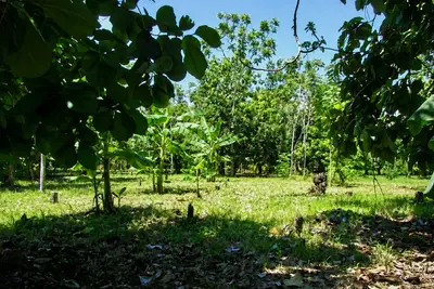 Plus d'un hectare à vendre à Parrita – Idéal pour le développement résidentiel 4