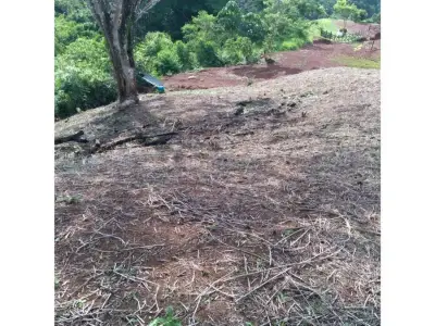 Magnifique terrain à Bijagual 3