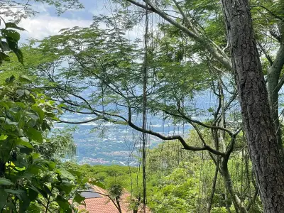 Lots à vendre dans les montagnes de Santa Ana 3