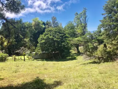 À Vendre / Magnifique Terrain (Avec Permis d'Usage Commercial) San Isidro, Heredia 4