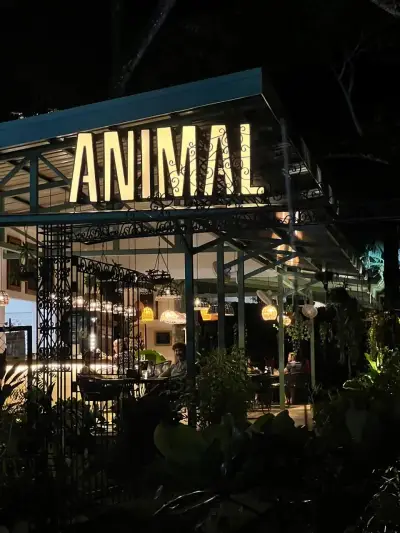 Restaurante y bar próspero con temática animal en Hermosa Playa | Proyecto comercial llave en mano 1