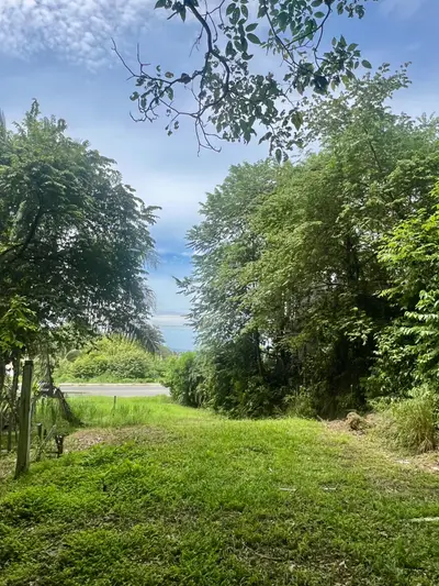 Exclusive Lot Facing Playa Hermosa: Investment and Tropical Lifestyle
