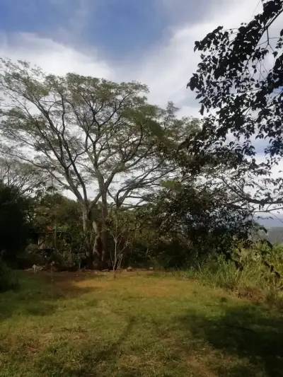 Magnifique terrain à Santa Ana pour promoteur 2