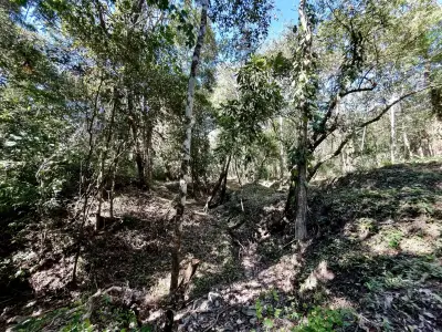 Investissez dans la nature : terrains privés de 5 000 m² en jungle à Mal País, à quelques minutes de la plage 3
