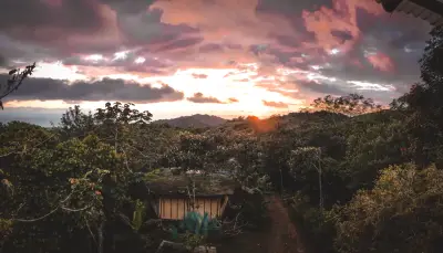 Retraite Écologique de Luxe avec Vues Imprenables sur le Coucher du Soleil et Immersion dans la Jungle 5