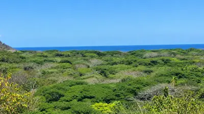 Vente / Terrain exceptionnel à Tamarindo, Guanacaste : près des plages et de la nature 1