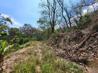 Magnifique terrain tropical de rêve à vendre 4