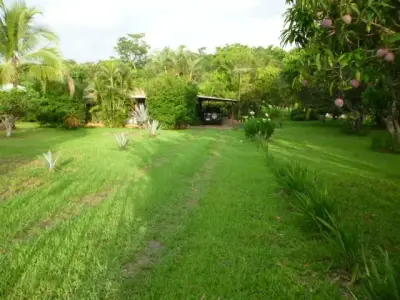 Vaste terrain de 11 380 m² à Orotina, Alajuela - Idéal pour développement ou domaine privé 5