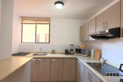 Furnished Apartment for Sale or Rent in La Uruca 5