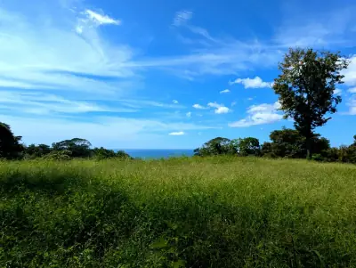 Ocean View Lot in Mal Pais 1
