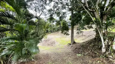 Opportunité D'investissement Commercial De Premier Ordre À San Miguel, Naranjo 1