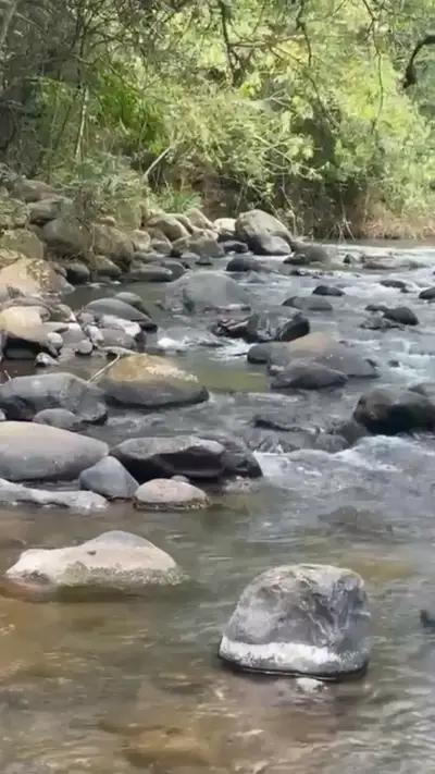 Terrain agricole à San Ramón avec 5 piscines naturelles et accès à la rivière 1
