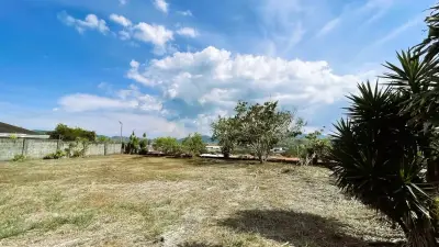 Grand Lot À Vendre À San Pedro, San Ramón 2