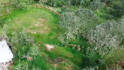 Vaste terrain de 2500 m² à Santiago, San Ramón, Costa Rica 4